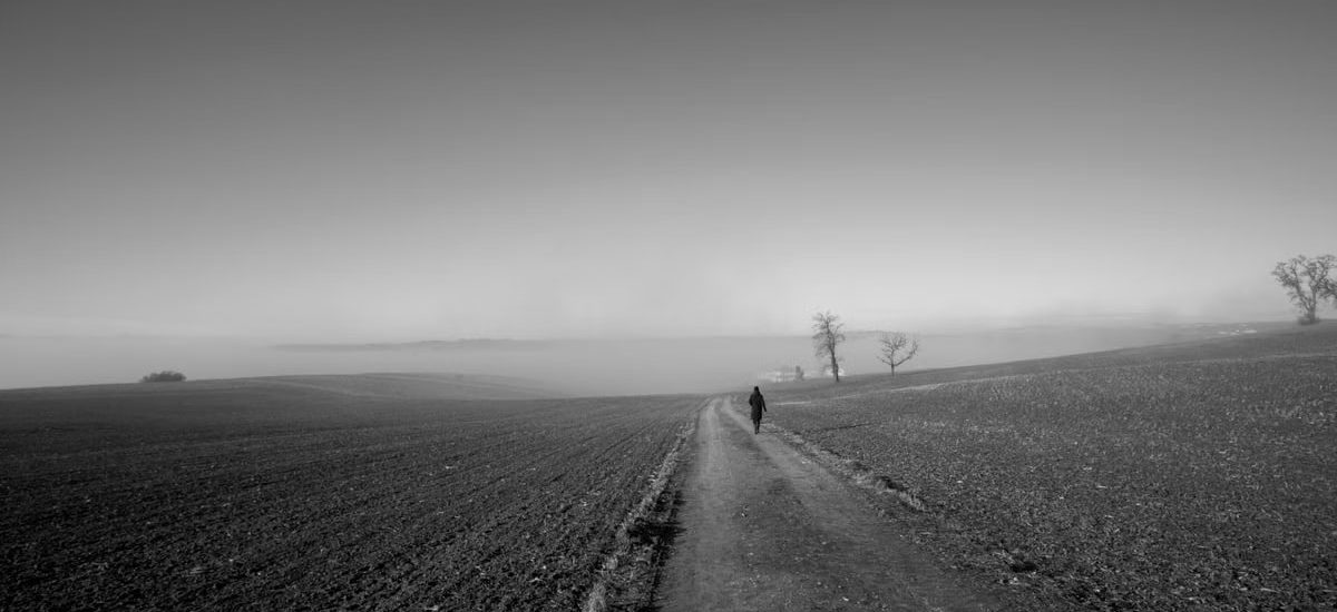 Black and white landscape with a lone person walking in misty fields in Schwertberg, Upper Austria.
